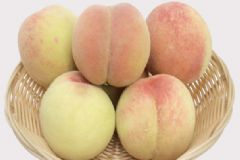 水蜜桃可以放冰箱嗎？水蜜桃的保存方法有哪些？[多圖]