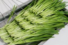 夏天吃韭菜好嗎？什么時(shí)候吃韭菜最好？[多圖]