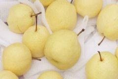 雪梨和白梨是同一個(gè)嗎？雪梨和白梨的區(qū)別[多圖]