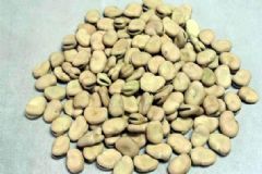 蠶豆放了一年還能吃嗎？蠶豆放時(shí)間長(zhǎng)了能吃嗎？[多圖]