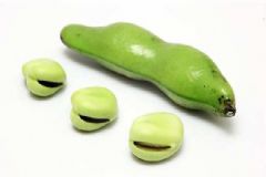 蠶豆是什么豆？蠶豆是堅(jiān)果嗎？[多圖]