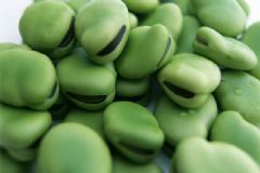 吃蠶豆放屁？為什么吃蠶豆放屁？[多圖]