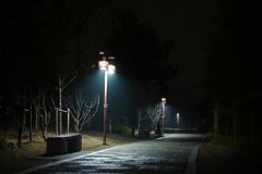 蚊子在黑暗中看得見嗎？蚊子黑夜里怎么吸血？[多圖]