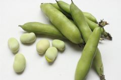 蠶豆治療帕金森？蠶豆能治帕金森病嗎？[多圖]