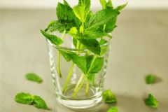 薄荷能治蕁麻疹嗎？蕁麻疹喝薄荷茶有用嗎？[多圖]