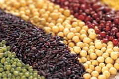 痛風(fēng)能吃綠豆嗎？痛風(fēng)患者能喝綠豆湯嗎？[多圖]