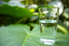 多喝水有什么好處？多喝水的好處是什么？[多圖]