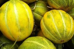 經(jīng)期可以吃香瓜嗎？經(jīng)期吃香瓜會怎樣？[多圖]
