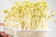 豆芽能和芹菜一起吃嗎？芹菜和豆芽一起吃有什么好處？[多圖]
