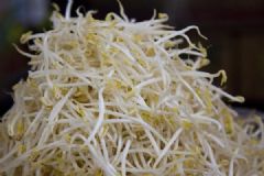 癲癇病吃豆芽好嗎？癲癇病可以吃豆芽嗎？[多圖]