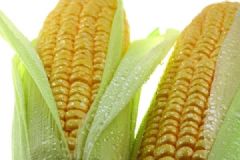 哺乳期能吃玉米嗎？產(chǎn)婦吃玉米會(huì)回奶嗎？[多圖]