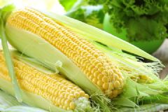 天天吃玉米好不好？天天吃玉米會(huì)怎樣？[多圖]
