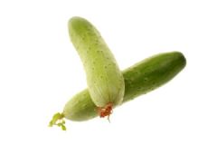 黃瓜和牛奶能一起吃嗎？黃瓜和牛奶一起吃好嗎？[多圖]