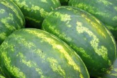 早晨吃西瓜好嗎？早上吃西瓜長(zhǎng)肉不？[多圖]