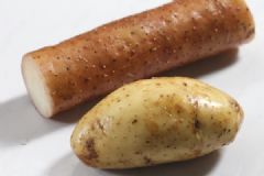 土豆和山藥能一起吃嗎？土豆和山藥能一起燉嗎？[多圖]