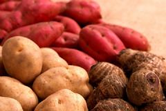 土豆和紅薯能一起吃嗎？土豆和紅薯可以一起吃嗎？[多圖]