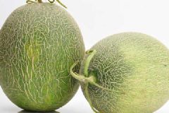 哈密瓜和牛奶能同時(shí)吃嗎？哈密瓜和牛奶榨汁苦是怎么回事？[多圖]