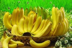 感冒能吃香蕉嗎？感冒吃香蕉好不好？[多圖]
