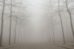 北京霧霾 霧霾天吃什么清肺？[多圖]