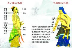 三焦指的是什么？三焦經(jīng)的特點有哪些？[多圖]