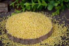 養(yǎng)胃的食物有哪些？幾種常見食物竟是養(yǎng)胃能手[多圖]