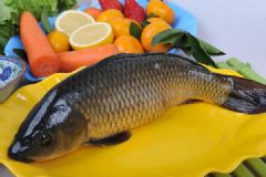 鯉魚功效有哪些？鯉魚功效及作用介紹[多圖]