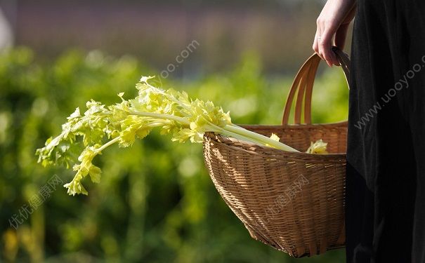 芹菜為什么不吃葉子？芹菜葉子可以吃嗎？(1)