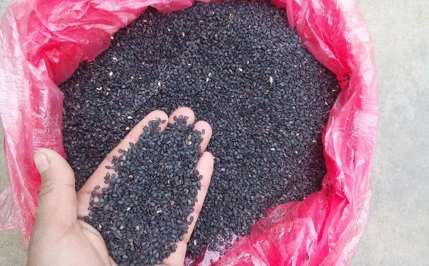 花生和核桃能治白發(fā)嗎？花生和核桃治白發(fā)有用嗎？(3)