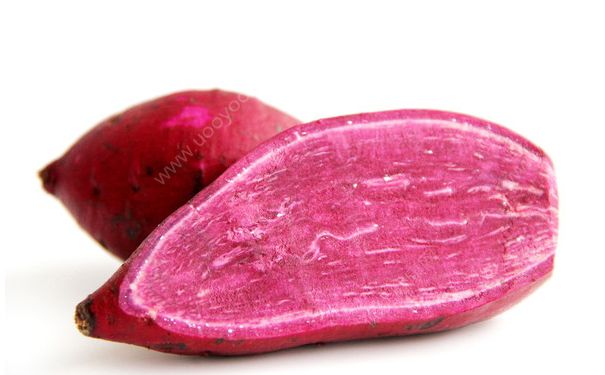 紫薯是轉(zhuǎn)基因食品嗎？紫薯是不是轉(zhuǎn)基因的？(3)