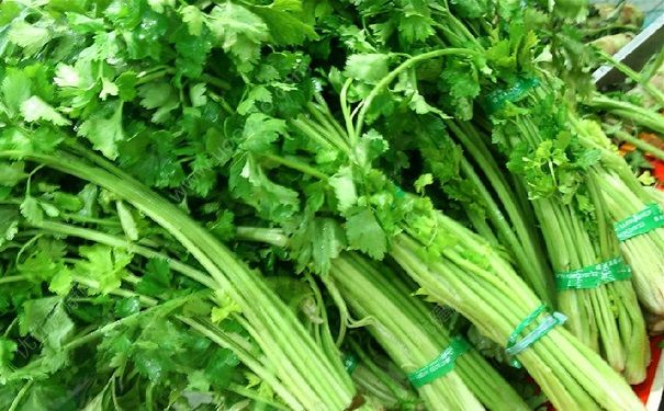 芹菜有點(diǎn)苦能吃嗎？芹菜有苦味吃了有什么影響？(1)