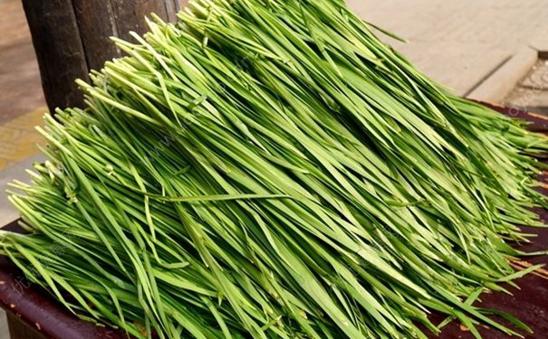 韭菜不能和什么一起吃？韭菜和什么一起吃好？(1)