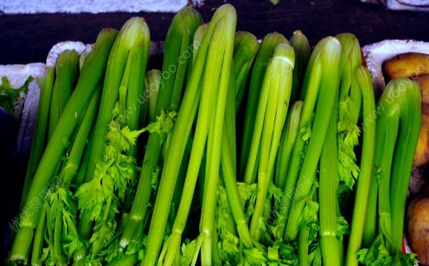 芹菜生吃可以嗎？芹菜是生吃還是熟吃好？(1)