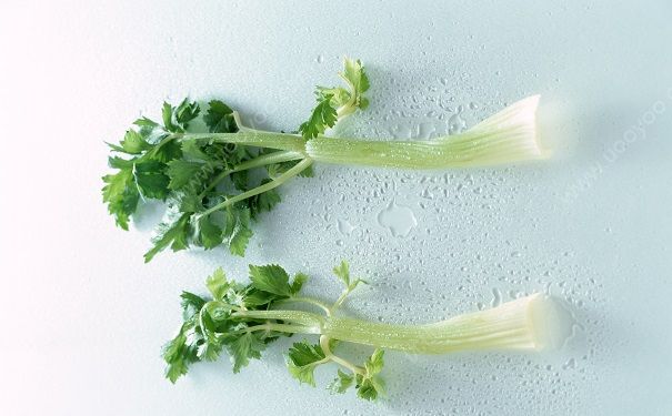 芹菜對腎好嗎？吃芹菜對腎有什么影響？(1)