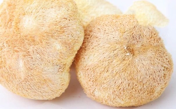 吃猴菇餅干能養(yǎng)胃嗎？猴頭菇餅真的養(yǎng)胃嗎？(2)