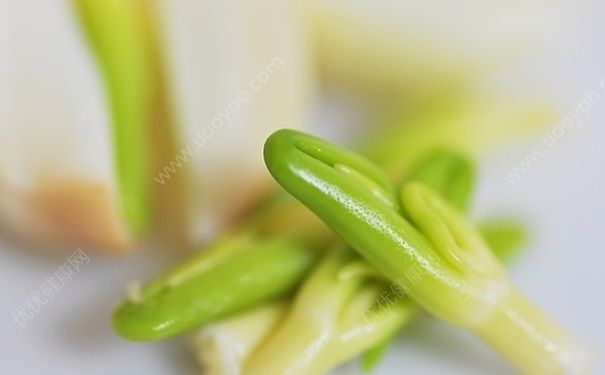 蓮子心可以吃嗎？蓮子心可以泡水喝嗎？(5)