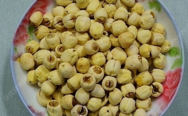 白蓮子的功效與作用 白蓮子怎么吃？(1)