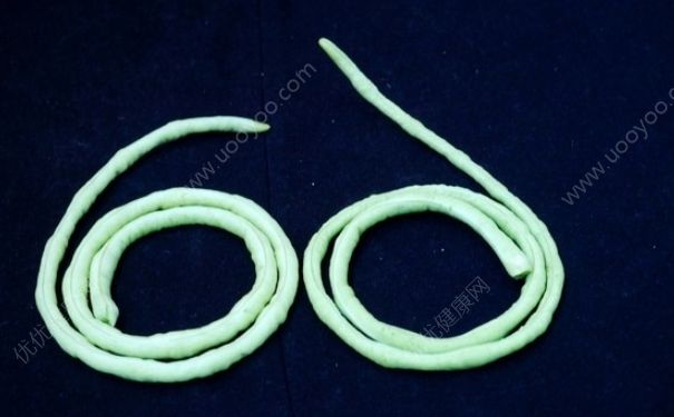 豆角和蘑菇能一起吃嗎？豆角和蘑菇一起好吃嗎？(2)