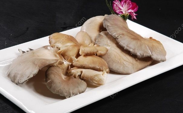 豆角和蘑菇能一起吃嗎？豆角和蘑菇一起好吃嗎？(4)