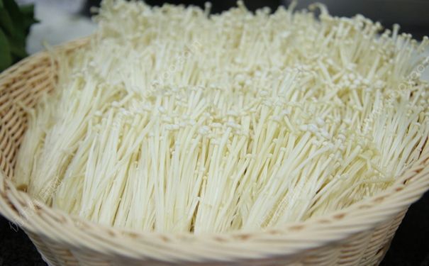 吃金針菇會(huì)胖嗎？金針菇吃了會(huì)不會(huì)長胖？(2)