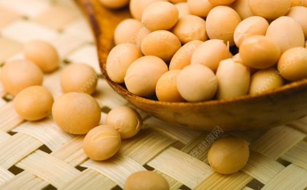 吃黃豆有什么作用？吃黃豆有助于排卵嗎？(4)