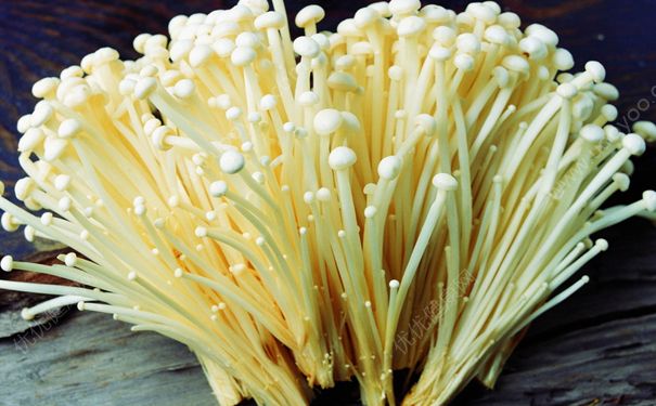 金針菇變黃了還能吃嗎？金針菇放久了黃了可以吃嗎？(3)