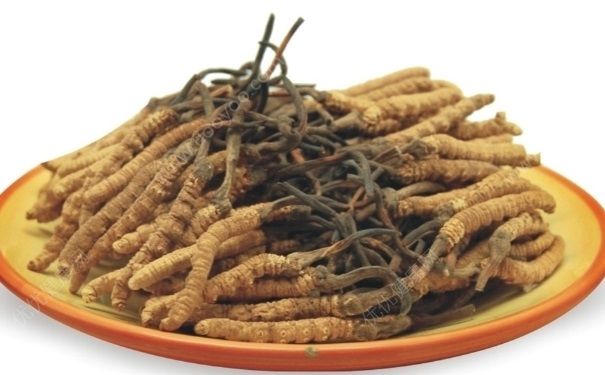 冬蟲夏草怎么辨別真假？冬蟲夏草怎么分真假？(4)