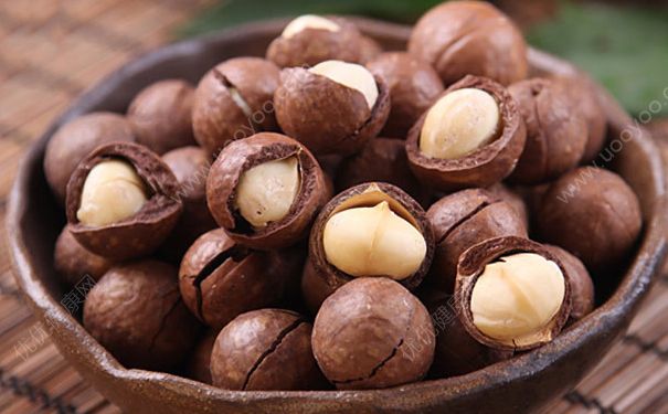 夏威夷果殼有什么用？夏威夷果殼能泡茶喝嗎？(1)