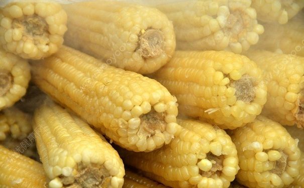 柚子和玉米能一起吃嗎？柚子和玉米同食好嗎？(3)