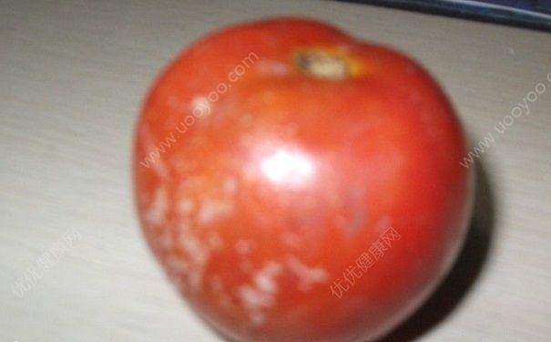 番茄有點(diǎn)爛還能吃嗎？番茄只爛了一點(diǎn)可以吃嗎？(2)