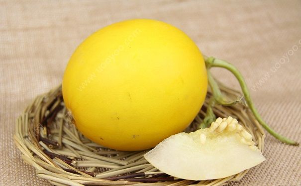 吃了香瓜拉肚子什么情況？香瓜吃了會(huì)拉肚子嗎？(1)