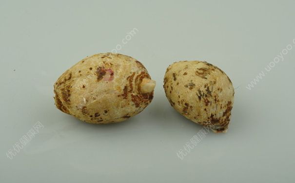 金針菇和芋頭能一起吃嗎？芋頭和金針菇能一起煮火鍋嗎？(1)