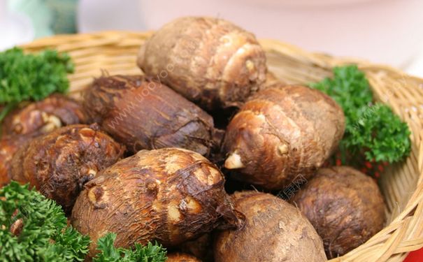 吃芋頭會(huì)胖嗎？吃芋頭會(huì)不會(huì)長(zhǎng)胖？(3)