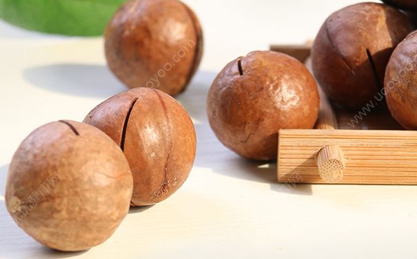 夏威夷果過(guò)期了能吃嗎？過(guò)期的夏威夷果可以吃嗎？(3)