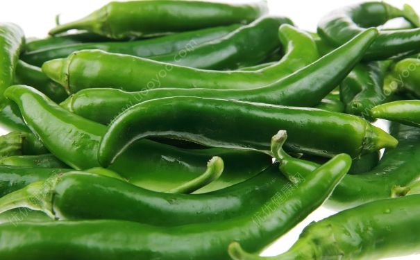 辣椒是熱性還是涼性？辣椒是熱性食物嗎？(2)